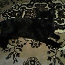 ���� Deema, ��������� - ��������� 3 ������� 2025 � ������ ������ ��������