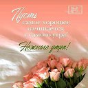 ���� �������, �������, 68 ��� - ��������� 14 ������ 2023 � ������ ���� ����������
