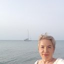 ���� �����, ���� - ��������� 29 ������� 2026 � ������ ���� ����������