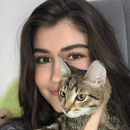 ���������, ������ ��������, 28 ���