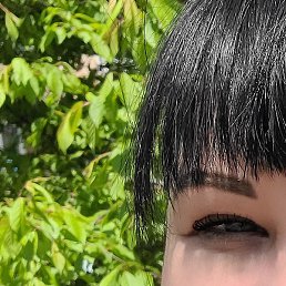 ���������, �������, 36 ���