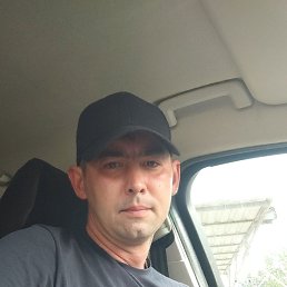 , 33, 