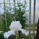 ���� �������, ������, 60 ��� - ��������� 8 ������ 2026 � ������ ���� ����������