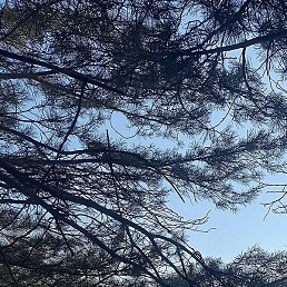 �������, ������, 26 ���