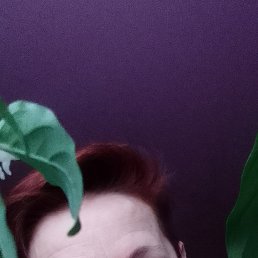 ���� ���������, ���������, 52 ���� - ��������� 7 ������ 2026