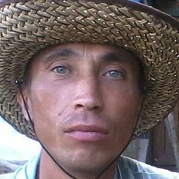 ������, ���, 51 ���