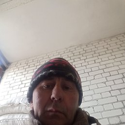 , 53, 