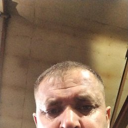 , 43, 