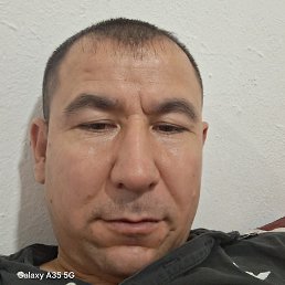 ����, ������, 41 ���