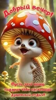 ���� ������, ��������� - ��������� 29 ������ 2025