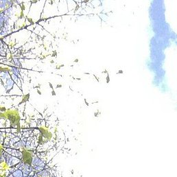 ����, ������, 24 ����