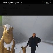 ������, 54 ����, ���������