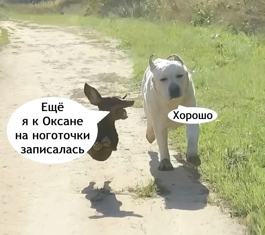 Мужики поймут. Мы на все готовы для наших любимых девочек! - 3