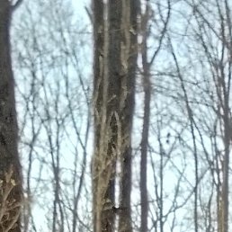 �����, �������, 30 ���