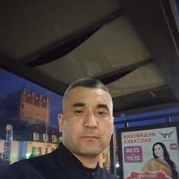 , 33, 