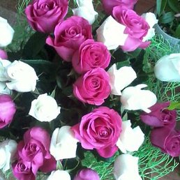 �����, ������, 40 ���