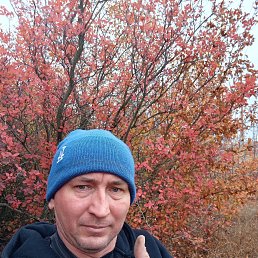 ������ ��������, 41 ���, ������-��-����