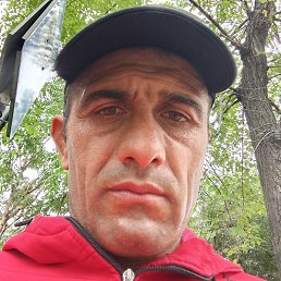 �����, ������, 46 ���