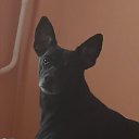 ���� ������, ������, 54 ���� - ��������� 15 �������� 2025