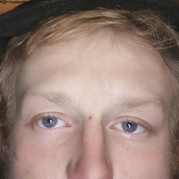 ������� �������, ���������, 23 ����