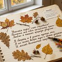 ���� ��������, ������ - ��������� 31 ������� 2026 � ������ ���� ����������