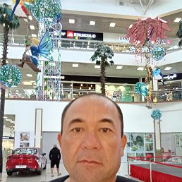 ���� �������, ������, 51 ��� - ��������� 15 ���� 2024