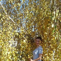 ����, ���������, 51 ���