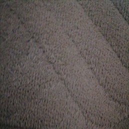 ������, ���������, 51 ���