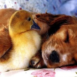 Aleksey, ������, 53 ����