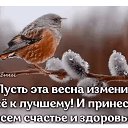 ���� ����, ������, 60 ��� - ��������� 15 ����� 2024