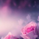 ���� ��������, �������, 36 ��� - ��������� 28 ������ 2024 � ������ ���� ����������