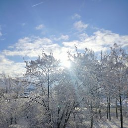 ���� ����, ������, 36 ��� - ��������� 2 ������ 2024