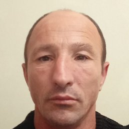 ������� �������, ���������, 41 ���