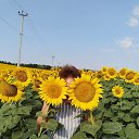���� �����, ������ - ��������� 27 ������� 2025 � ������ ���� ����������