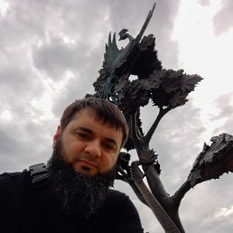 , 37, 