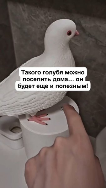 ����� ������� ������� ���� - 2