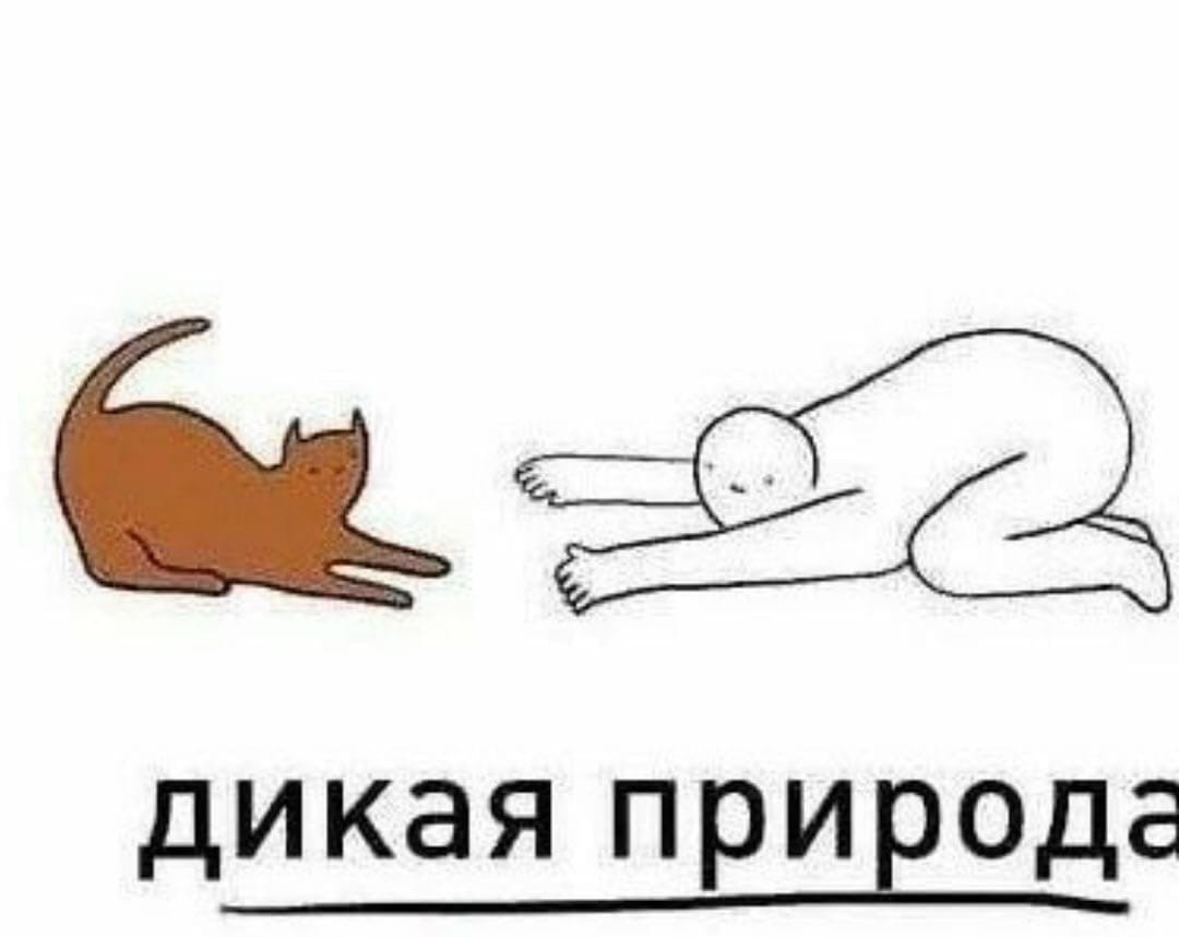 ��� ���� ���� - 4