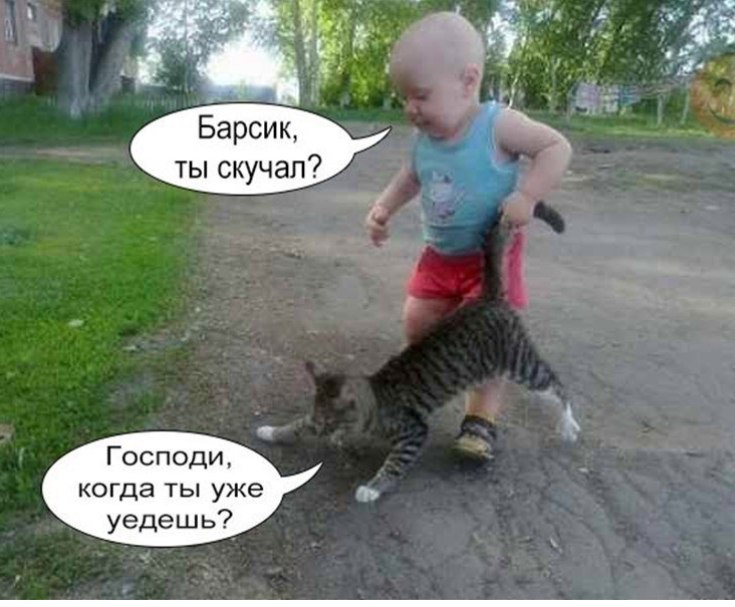 �������� �� ����� ����. - 23 ����� 2026 � 04:24