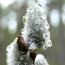 ���� ��������, ��������� - ��������� 2 ������ 2026 � ������ ������ ��������