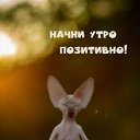 ���� �����, �����, 37 ��� - ��������� 8 ����� 2026 � ������ ���� ����������