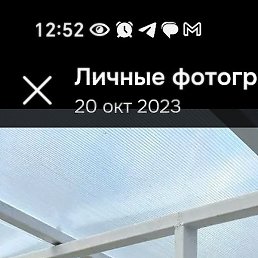 ������, �����, 44 ����