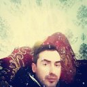 ���� Tiger, ������, 38 ��� - ��������� 5 ������� 2023 � ������ ���� ����������