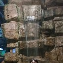 ���� ������, ������, 52 ���� - ��������� 9 ������ 2025 � ������ ���� ����������