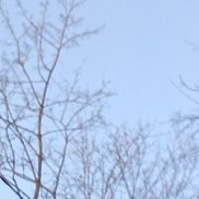 ���������, 28 ���, �����-���������