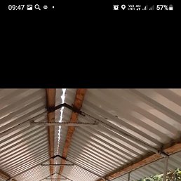 ���� �����, �����-���������, 43 ���� - ��������� 23 ������� 2023