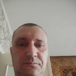 , 41, 