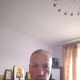 , , 41 