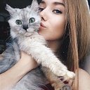 ���� Kn�p�4k�, ������ - ��������� 7 ������ 2026 � ������ ���� ����������