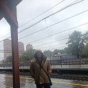 ���� �������, �����, 34 ���� - ��������� 8 ������� 2024 � ������ ���� ����������
