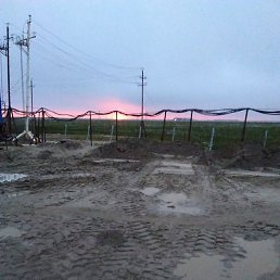 ������, �����������, 50 ���